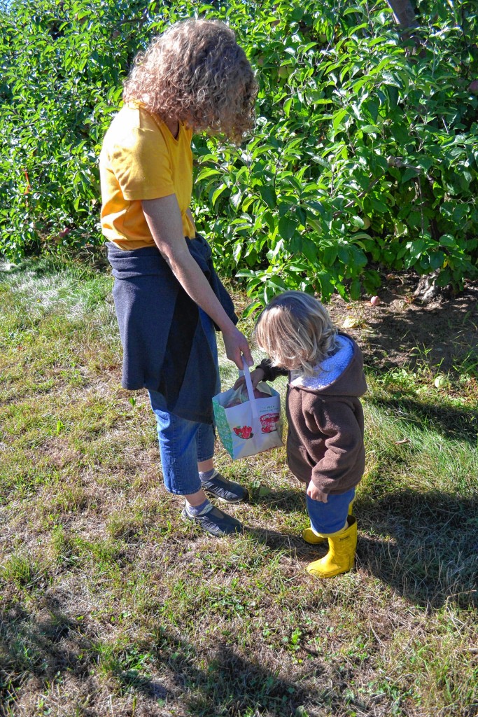 Tim Goodwin—Insider staffWe went to two apple orchards in one day to see what was going on.