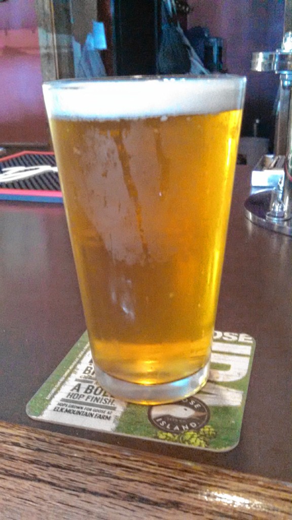 JON BODELL / Insider staffBerkshire Brewing Co. Steel Rail Extra Pale Ale, on tap at the Red Blazer.