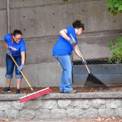 It was a happening Day of Caring in Concord