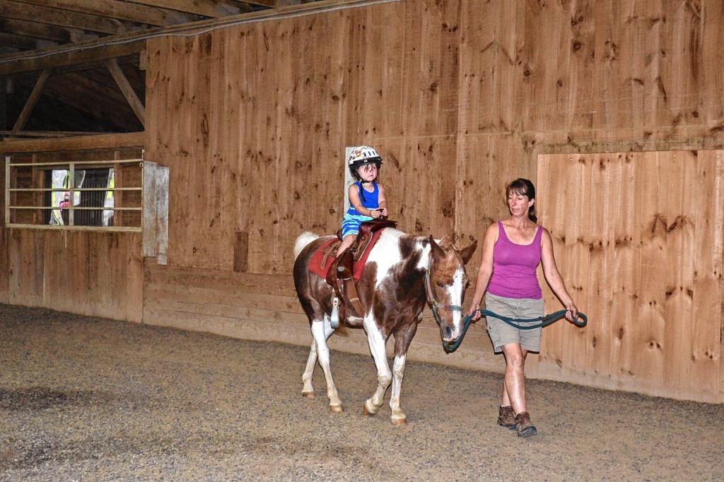 Tim Goodwin / Insider staffEvery year around this time we have to say goodbye to summer, but it never gets any easier. With the passing of the unofficial end of summer, we decided to find the last signs of the warmest season before it all goes away. This page, top left: It was the final day of pony rides at Abaris Stables, so Peyton Donnelly, 3, took full advantage. Top right: Keith Descoteaux, owner of Still Seeking Farm in Gilmanton, weighs out some lettuce for a customer on the last day of the Penacook Farmers Market. (Photo by Jon Bodell) Bottom right: These kinds of summery finds won’t be around forever.