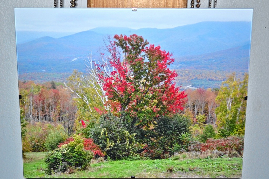 Tim Goodwin—Insider staffAn exhibit of Cheryl Weston's photography is currently hanging at the Society for the Protection of N.H. Forests. The work is on display through October.