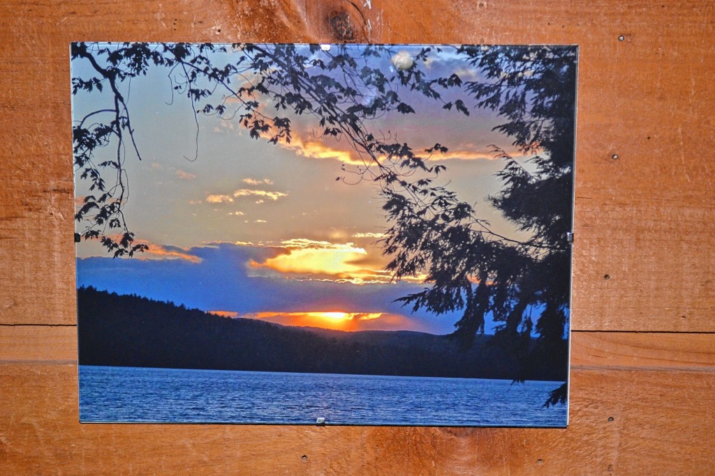 Tim Goodwin—Insider staffAn exhibit of Cheryl Weston's photography is currently hanging at the Society for the Protection of N.H. Forests. The work is on display through October.