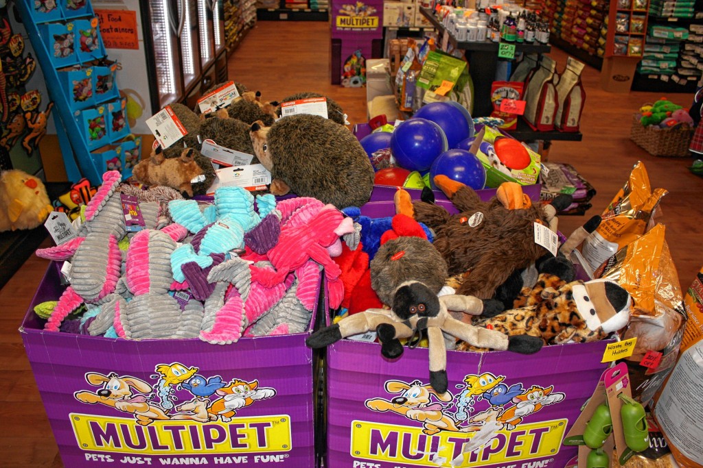 JON BODELL / Insider staff—Check out all of the cool pet toys we found at Sandy's Pet Food Center. Apparently they sell more than just food there.