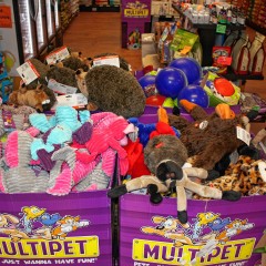 Look at all the pet toys we found at Sandy’s