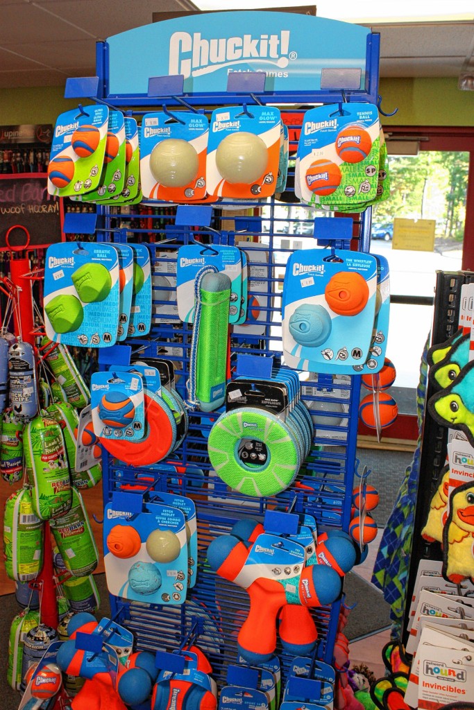 JON BODELL / Insider staff—Check out all of the cool pet toys we found at Sandy's Pet Food Center. Apparently they sell more than just food there.
