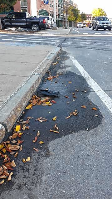 Tim Goodwin / Insider staffWe always find it easier to walk around town wearing two shoes, but apparently some find that its okay to leave one behind –  even if it happens to be in a puddle on Storrs Street. And this was not just any shoe – it was pretty fancy.