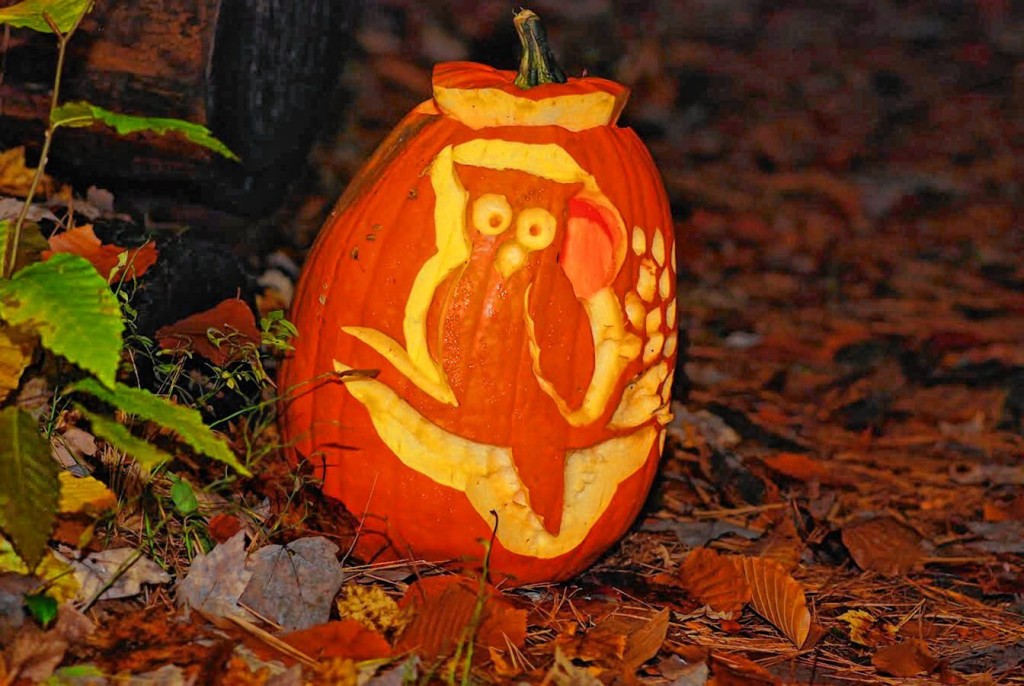 Courtesy—The N.H. Audubon's McLane Center is hosting its annual Enchanted Forest Oct. 21-22.
