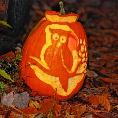 Audubon Enchanted Forest a spooky good time for the family