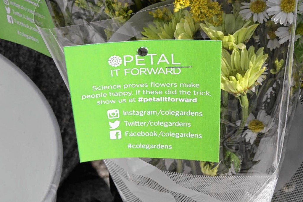 Jon Bodell—Insider staffTim took to South Main Street last week to hand out flowers for Cole Gardens as part of the Petal It Forward program.