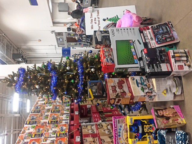 There are all kinds of sweet scores to be had at the Feztival of Trees, like these trees from BJ's and Sam's Club.