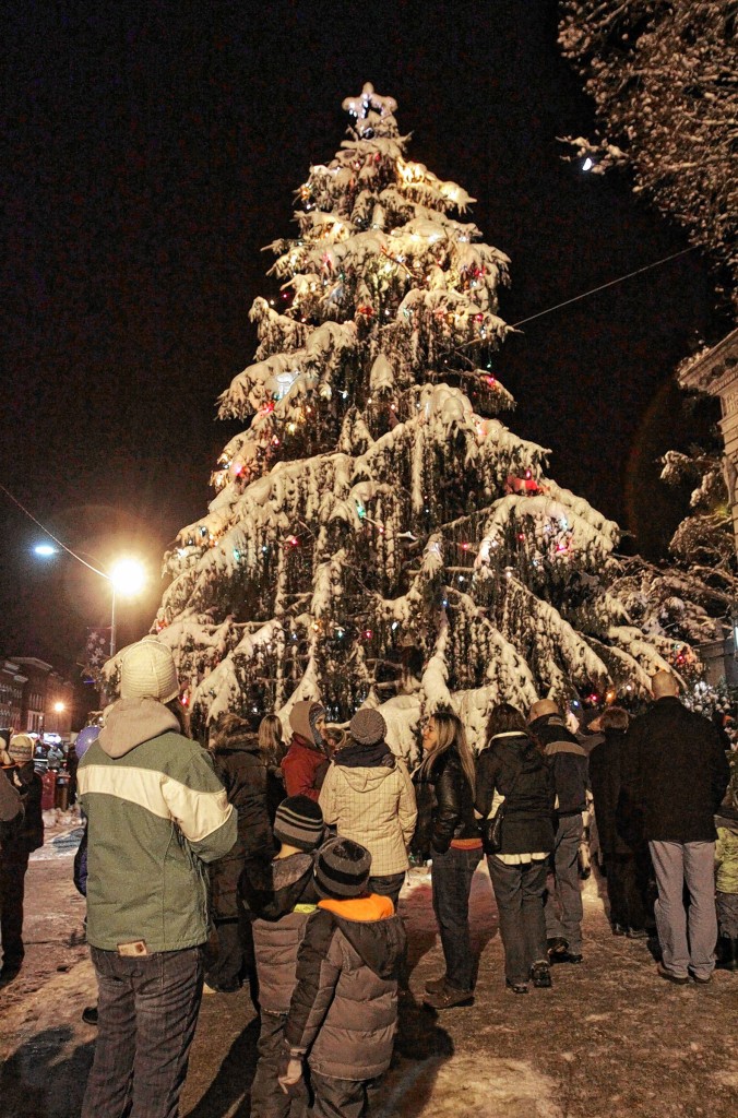 There’s nothing quite like standing outside in early winter to watch a tree be lit up.
