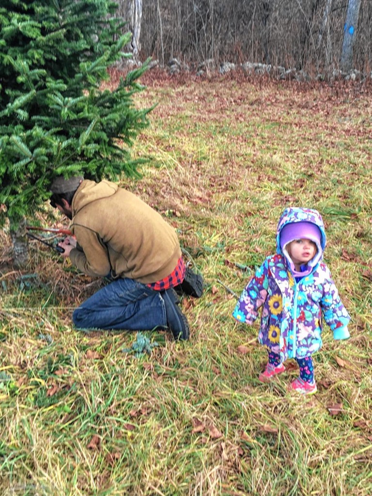 Jon does the dirty work -- cutting down the tree -- while his daughter, Julia, supervises the situation at Rossview Farm last week.