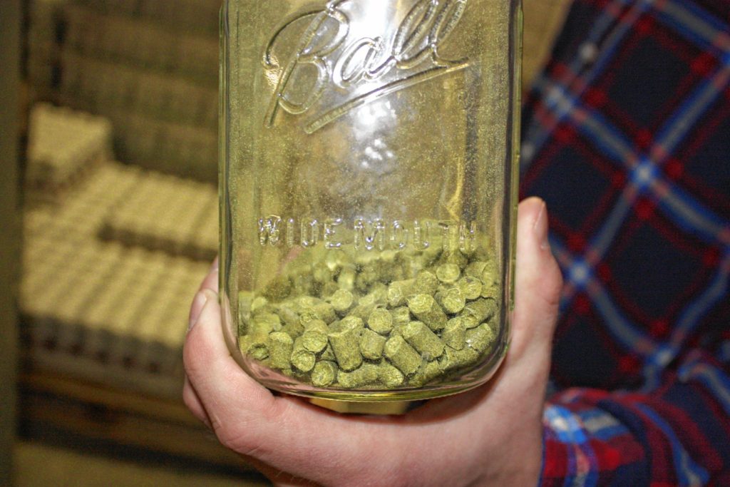 At Henniker Brewing Co., they use pellet hops to make the beer. These condensed pellets are easier to work with, filtration-wise, than the traditional loose hops.(JON BODELL / Insider staff)