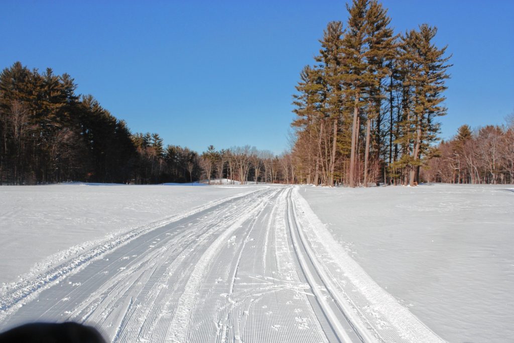 Look at all of the natural beauty that surrounds you as you cross-country ski at Beaver Meadow Golf Course.(JON BODELL / Insider staff)