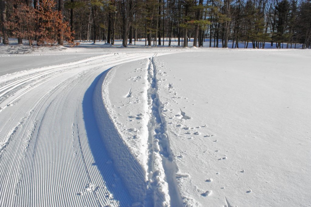 Some brave showoff decided to make their own cross-country ski trail at Beaver Meadow.