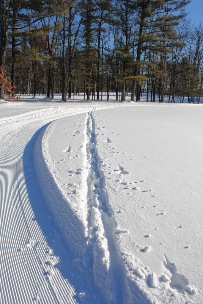 Some brave showoff decided to make their own cross-country ski trail at Beaver Meadow last week.(JON BODELL / Insider staff)