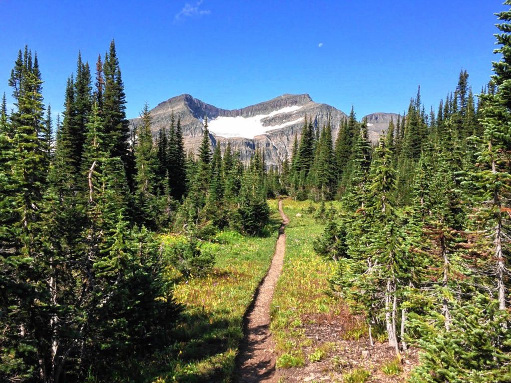 Don’t you just want to wander down this hiking trail at Glacier National Park in Montana?