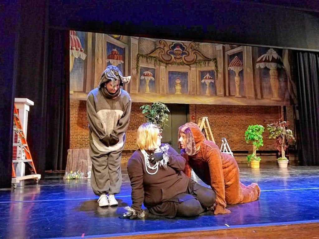 Donkey (Julia Wagner) and Hound (Rebecca Butt) persuade Cat (April Lakevisius) to join them on their journey to start a new life in Bremen Town during a recent rehearsal of The Junior Service League of Concord’s performance of The Bremen Town Musicians.