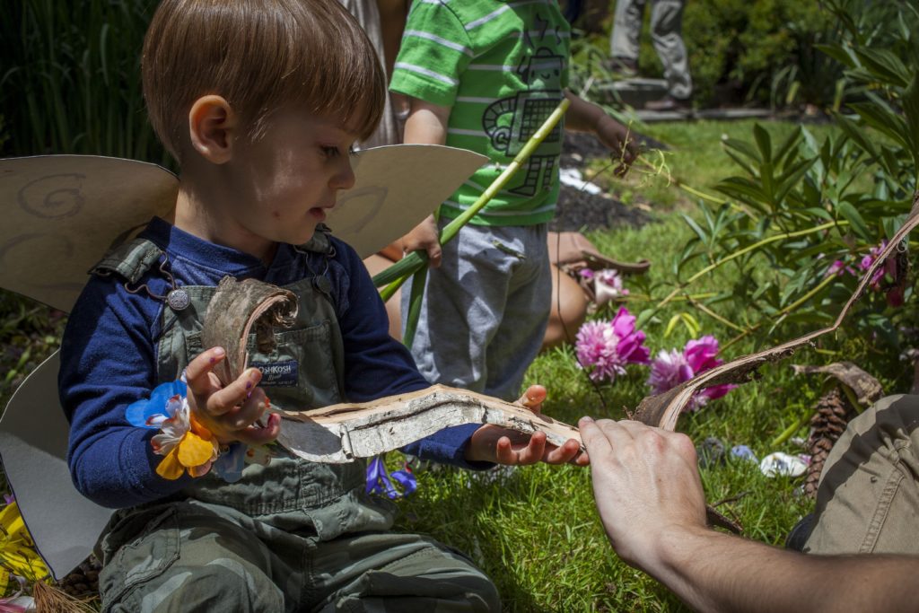 Three-year-old son Max Kazakis considers a strip of bark while builting a gnome home with his family during Sundayâs fairy house festival at the Kimball Jenkins School of Art in Concord on June 12, 2016. (ELIZABETH FRANTZ / Monitor staff)