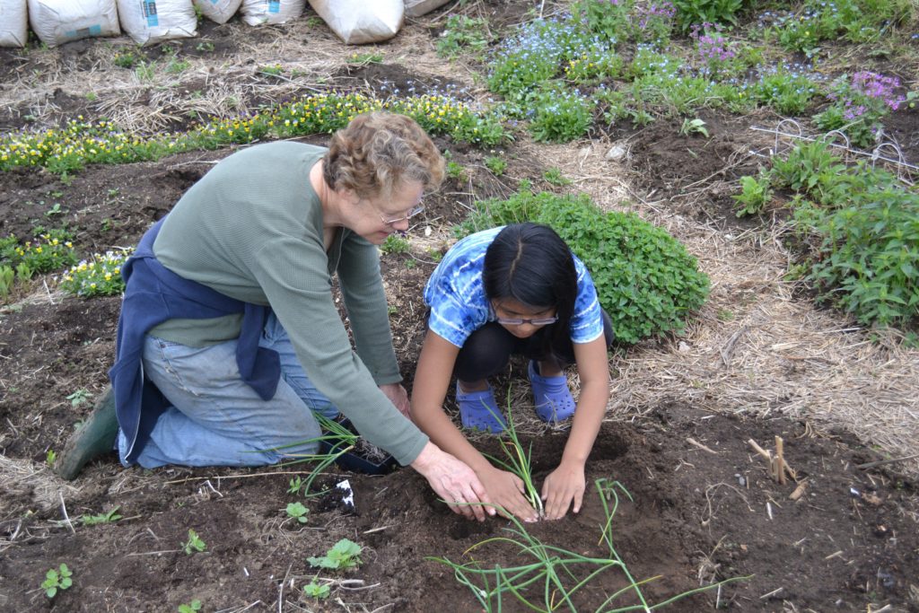 Millie LaFontaine (left) and Pratiksha Gurung get their hands dirty planting leeks at the Birch Street Community Garden last summer. Planting stuff is a great way to spend Earth Day.