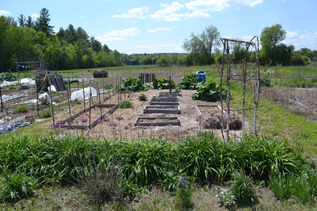 There's a couple community garden spots in Concord, in case you didn't know it.