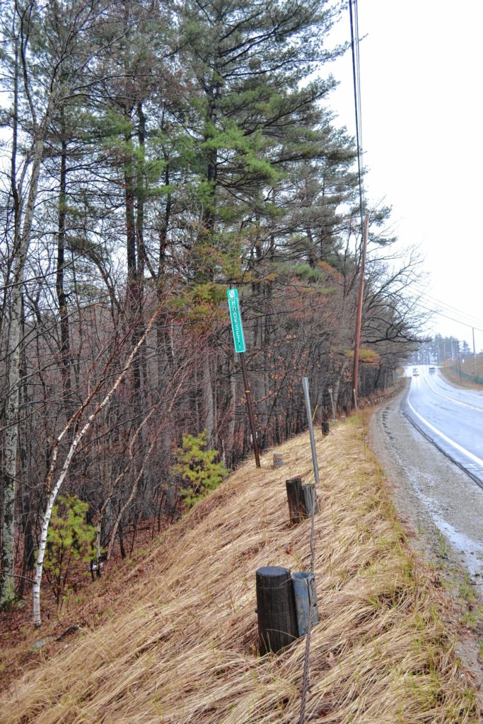 Look at all the interesting stuff we found on our adventures around Hooksett.