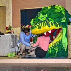 Brady Players to stage ‘Little Shop of Horrors’
