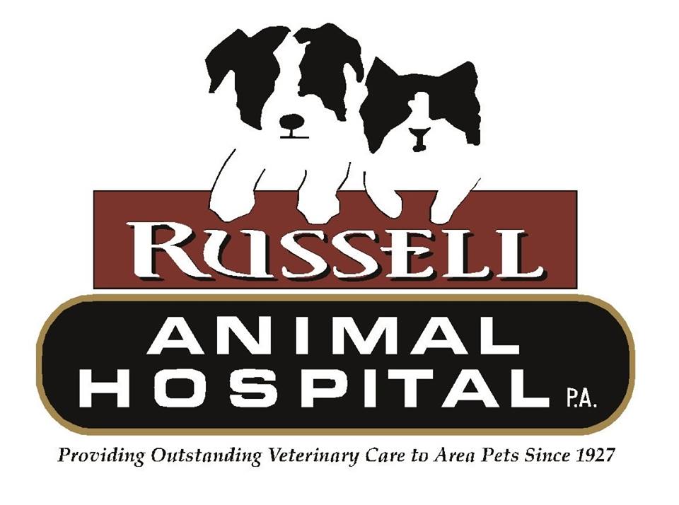 Best Best Veterinarian - Russell Animal Hospital