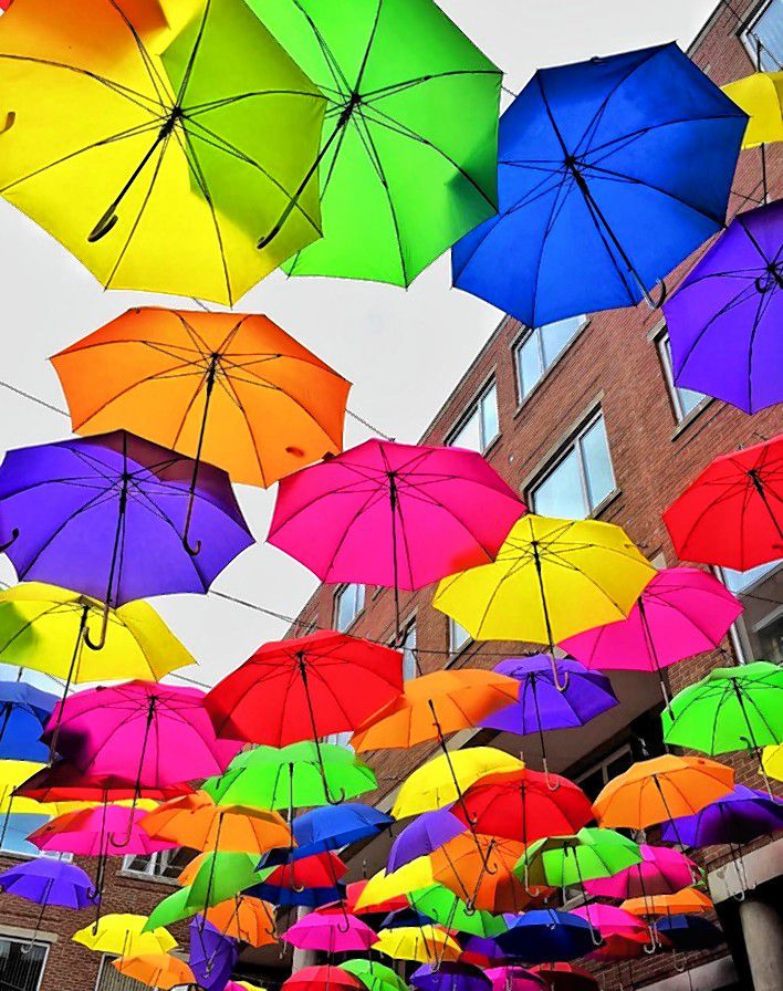 We’ve seen many Instagram photos of the umbrella art installation downtown, but we’ve resisted running any until now – our Celebrates the Arts Issue. This particular shot was taken by Instagram user @pumpkinlikewhoa, who captured this work of art in a pretty artistic way himself. Nice shootin’, man! Instagram user pumpkinlikewhoa