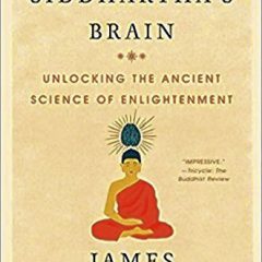 Book of the Week: ‘Siddhartha’s Brain’