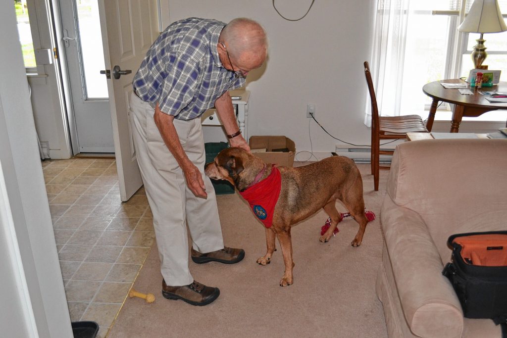Bill Bushnell gets his dog Lola ready for a meditation class at Havenwood Heritage Heights. Bushnell, a volunteer with Concord Regional VNA, was recently presented with the Bankers Life Golden Beacon award. TIM GOODWIN / Insider staff