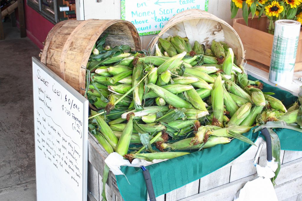You can get plenty of corn -- and all kinds of other vegetables -- at Apple Hill Farm. JON BODELL / Insider staff