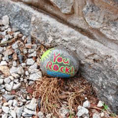Spread the good vibes all over Concord with Kindness Rocks