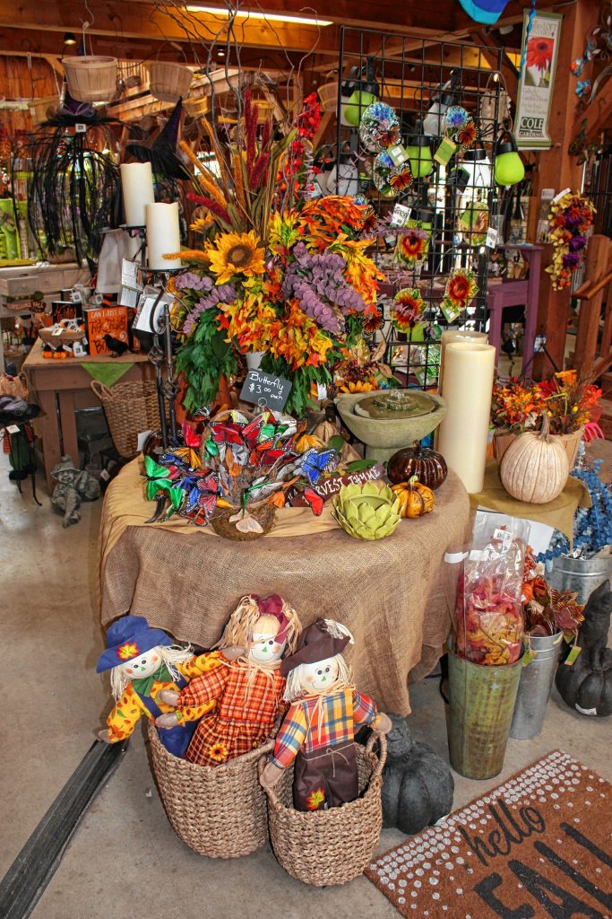 The fall stock is in at Cole Gardens, featuring things like pumpkins and a large assortment of indoor decorations for the mantel or bookshelf. JON BODELL / Insider staff