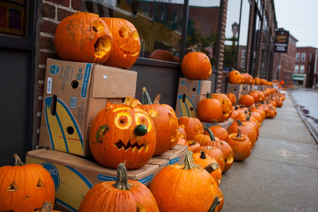 Carved pumpkins line both sides of Canal Street as preparations for the 2016 New Hampshire Pumpkin Festival continue in Laconia on Friday, Oct. 21, 2016. (ELIZABETH FRANTZ / Monitor staff) Elizabeth Frantz