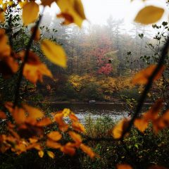 A Concord trails buff gives some recommendations for nice foliage hikes