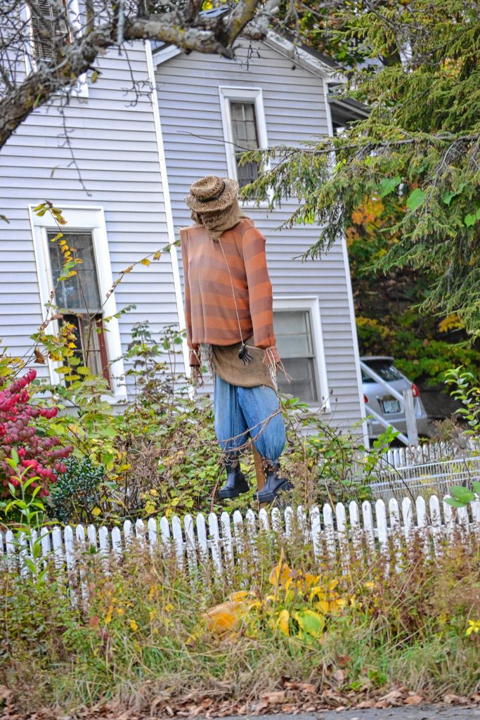 After finding a few pretty sweet Halloween yard displays and putting them in last week's issue, we asked for readers to tell us about other ones around town and Abby Tomich came through with a couple good leads. TIM GOODWIN / Insider staff