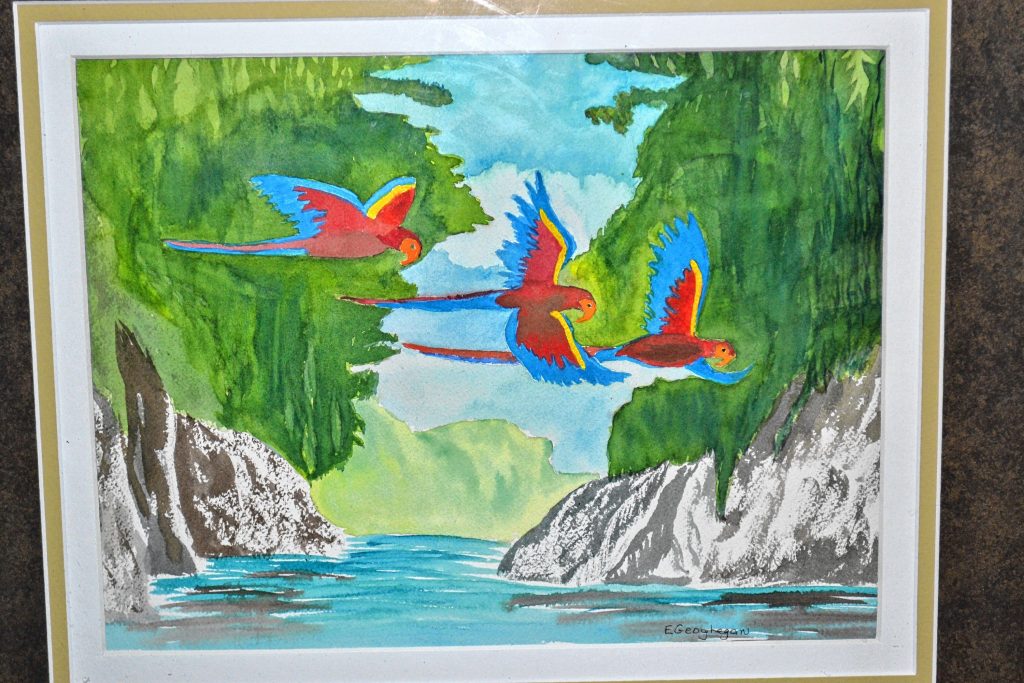 Lapa Rios. River of Macaws, Emily Geoghegan. TIM GOODWIN / Insider staff