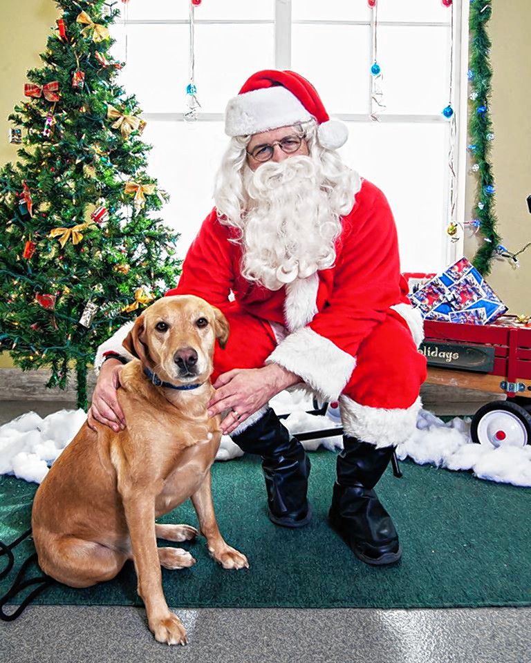 You can bring your pet to meet Santa Paws at the Pope Memorial SPCA's open house on Saturday. Courtesy