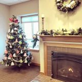 The GoodLife giving tree is full of tags, so stop by and pick one up – and help out a senior this holiday season. Courtesy