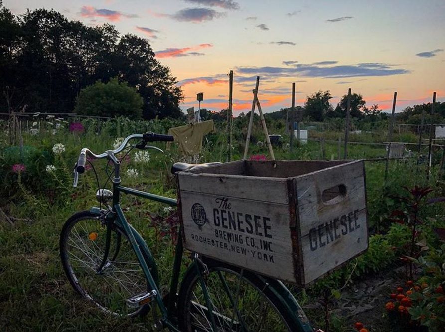 There have been some pretty nice sunsets around here this summer, and there’s no shortage of photos on Instagram to prove it. We liked this one, by user @michaelpmurphy, taken at the community gardens on Clinton Street. Something about the sky, the old bike with the box on the back and the floral surroundings just gives a quintessential New England summer feel, don’t you think? Instagram user @michaelpmurphy