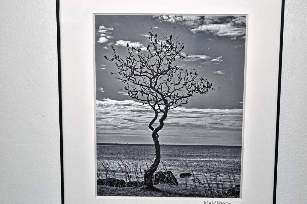 Tree of Tranquility, Leah Blazon. TIM GOODWIN / Insider staff