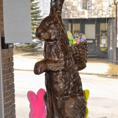 Try to win this big bunny from Granite State Candy Shoppe!