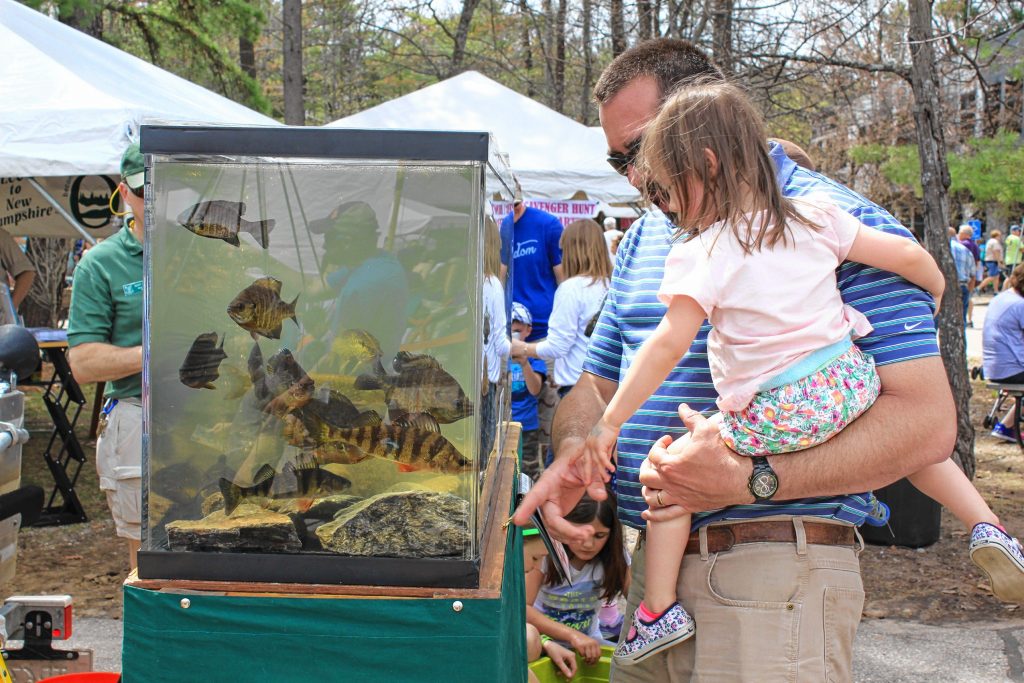 Discover WILD New Hampshire day at the state Fish and Game headquarters is always a good time for the whole family, with activities, demonstrations and various exhibits throughout the day. Courtesy of New Hampshire Fish and Game