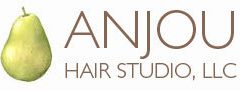 Best Hair Salon 2018 – Anjou Hair Salon
