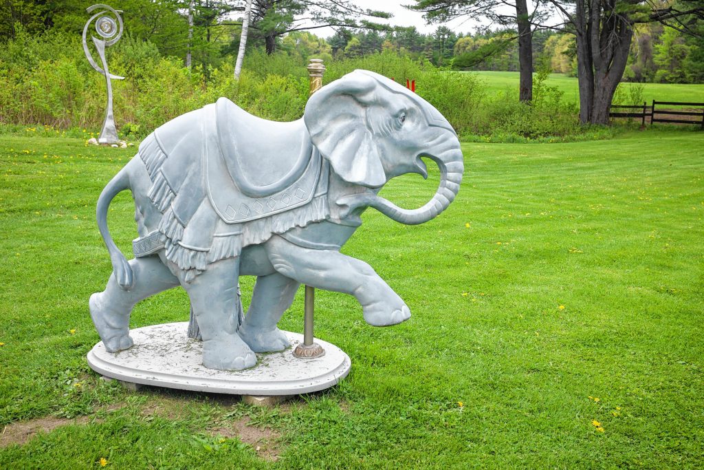 Elephant by Jeffrey Briggs OLIVIA BURDETTE