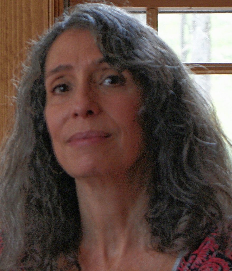 New Hampshire Poet Laureate Alice Fogel, above, and Diana Whitney will read from books of poetry they’ve written at 7 p.m., at the Norwich Bookstore, 291 Main St. Reservations for the free event are recommended. For more information, call 802-649-1114. Courtesy photograph   