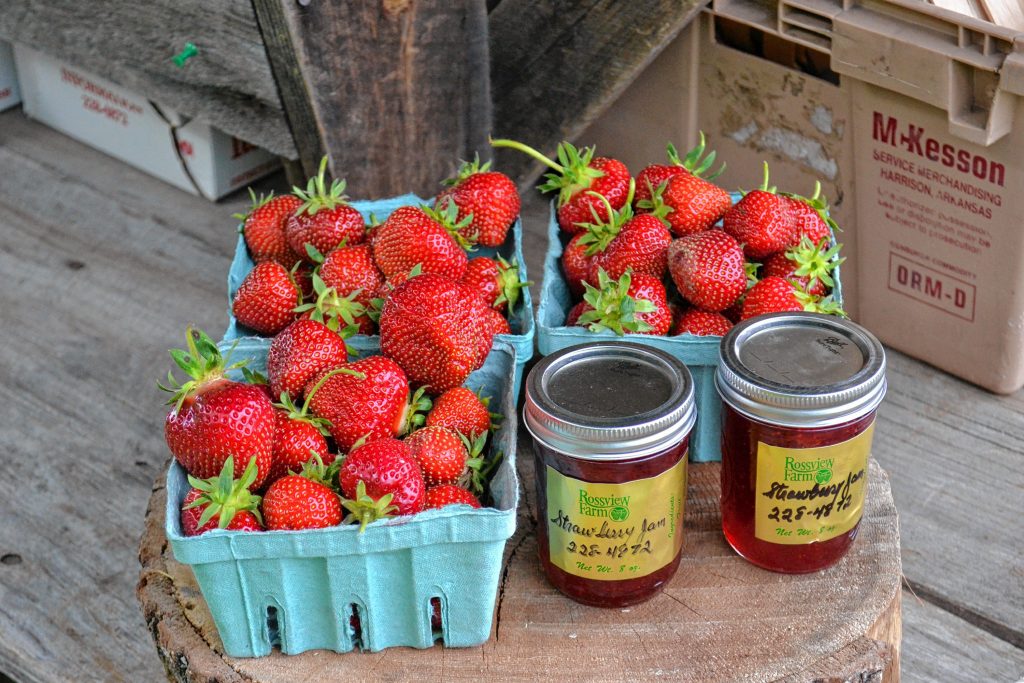 You can get strawberries in berry and jam form at Rossview Farm. TIM GOODWIN / Insider staff