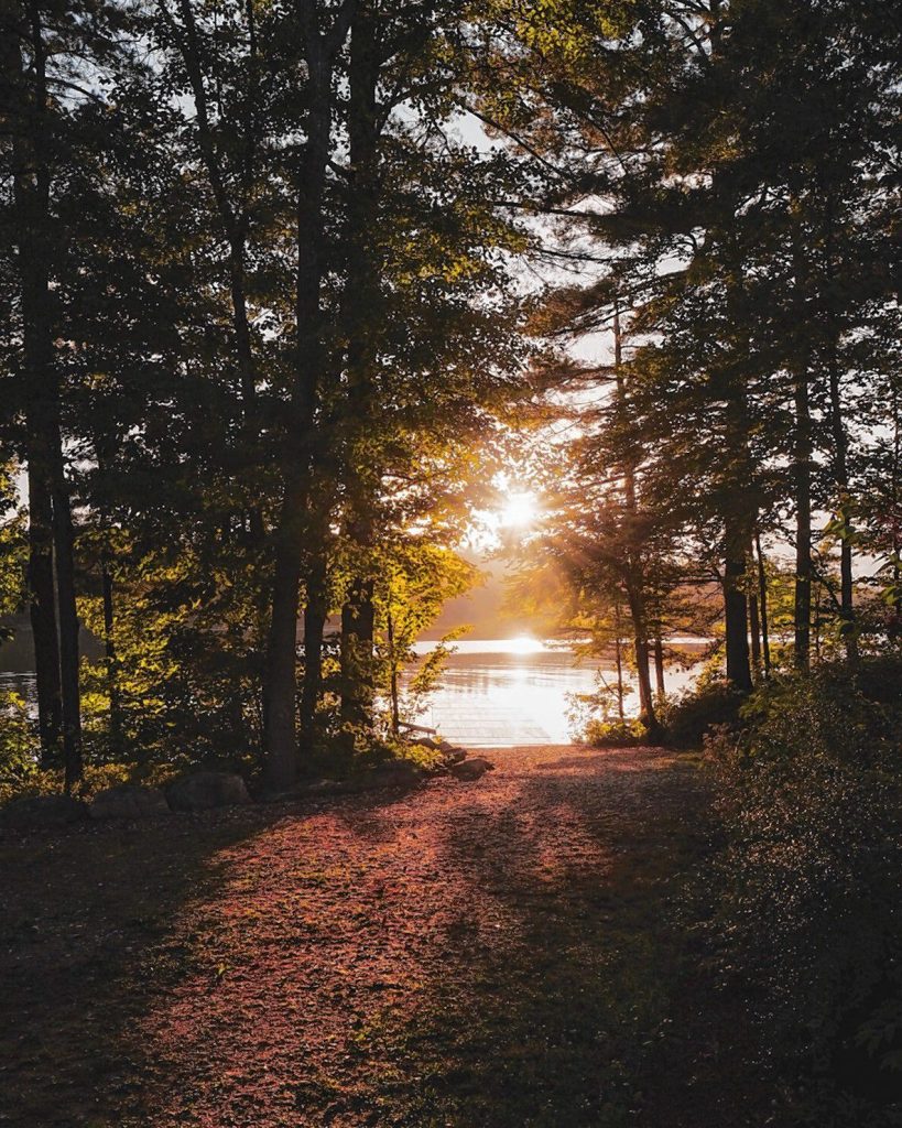 We love a good outdoorsy shot, and luckily for us, Instagram has no shortage of them. One particular photo really caught our eye last week – this one here by user @sheldonmckinley_, who has quite an eye for nice outdoor shots in Concord. This one was taken at the docks at St. Paul’s School at seemingly the most perfect time of day imaginable. This shot gives us a cozy, safe feeling for some reason, and makes us want to go camping. Nice shootin’, @sheldonmckinley_! Instagram user @sheldonmckinley_