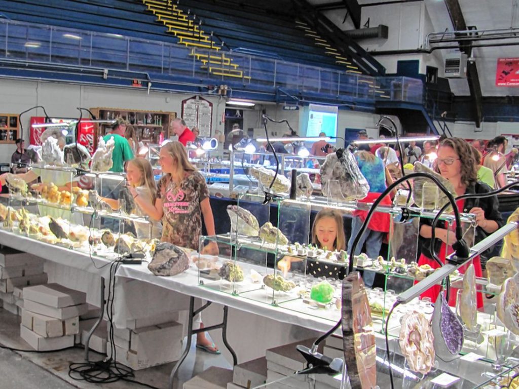 Guests check out some fine mineral specimens at the 53rd annual Gem, Mineral, Fossil and Jewelry Festival at Everett Arena in 2016. Courtesy of Capital Mineral Club